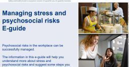 lo stress e i rischi psicosociale, Sbobinature di Psicologia del Lavoro